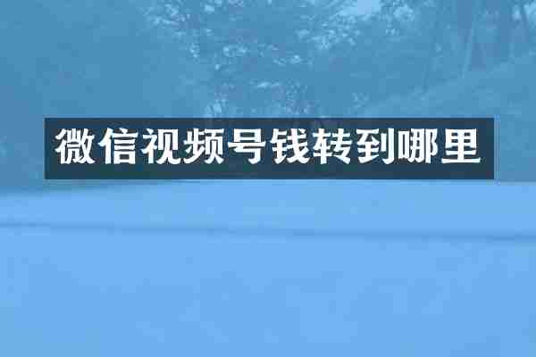 微信视频号钱转到哪里