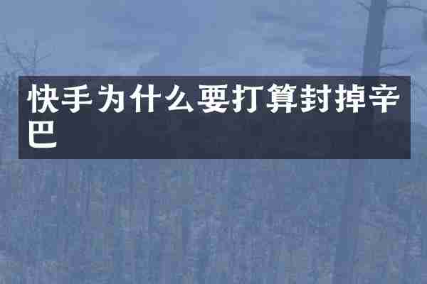 快手为什么要打算封掉辛巴