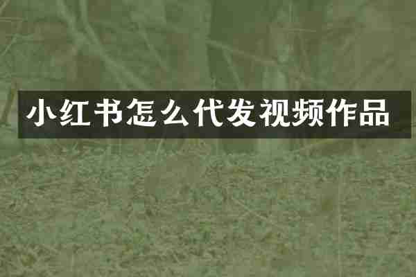 小红书怎么代发视频作品