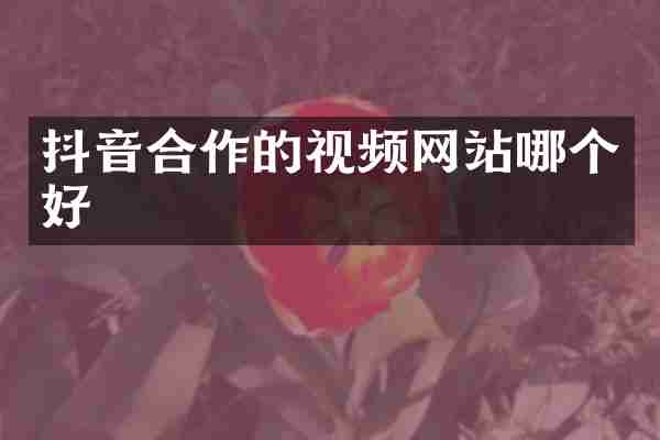 抖音合作的视频网站哪个好