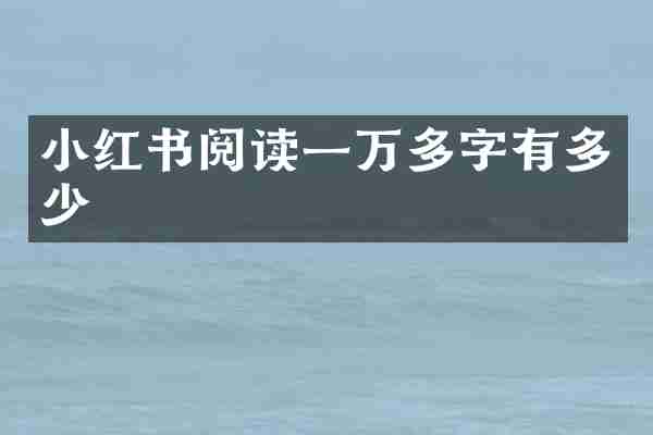 小红书阅读一万多字有多少