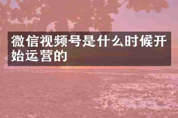 微信视频号是什么时候开始运营的