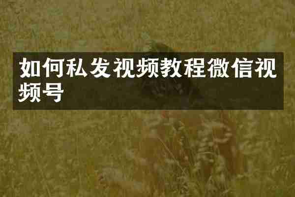 如何私发视频教程微信视频号