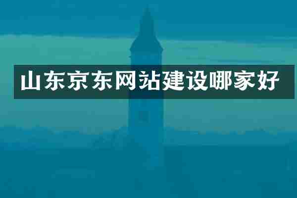 山东京东网站建设哪家好