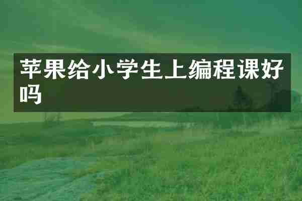 苹果给小学生上编程课好吗
