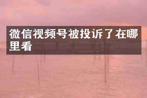 微信视频号被投诉了在哪里看
