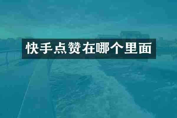 快手点赞在哪个里面