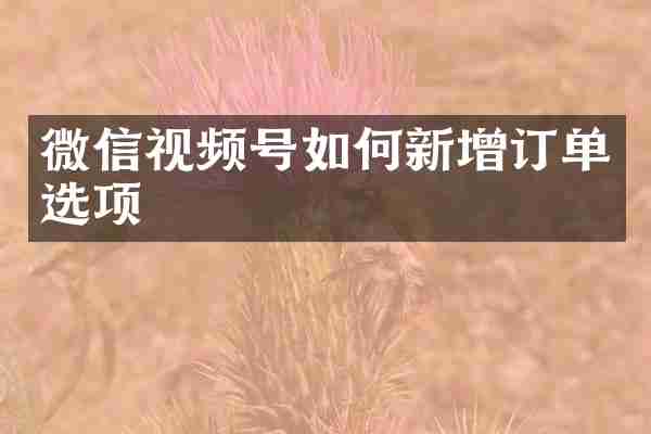 微信视频号如何新增订单选项