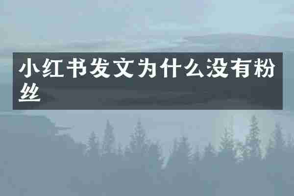 小红书发文为什么没有粉丝