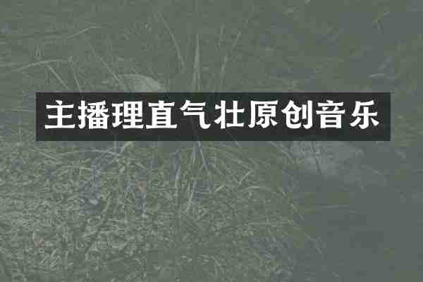 主播理直气壮原创音乐