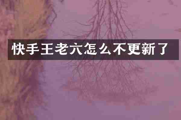 快手王老六怎么不更新了