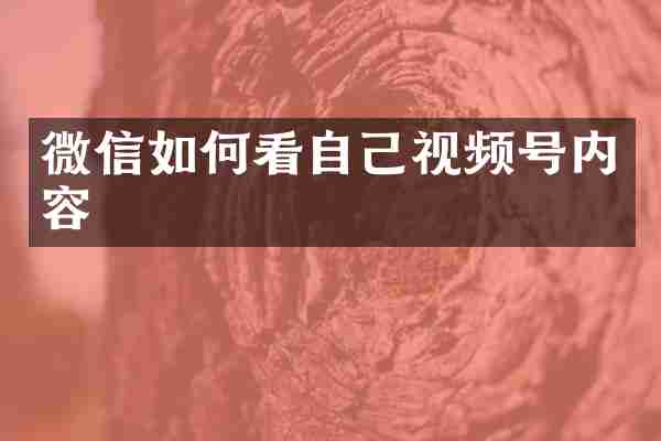 微信如何看自己视频号内容