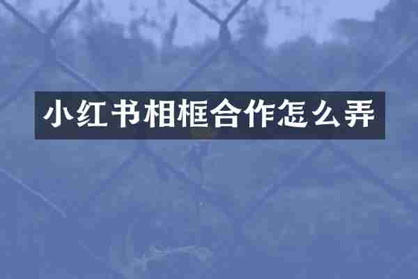 小红书相框合作怎么弄