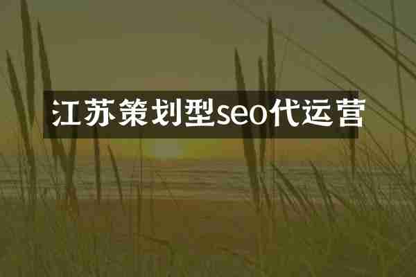 江苏策划型seo代运营