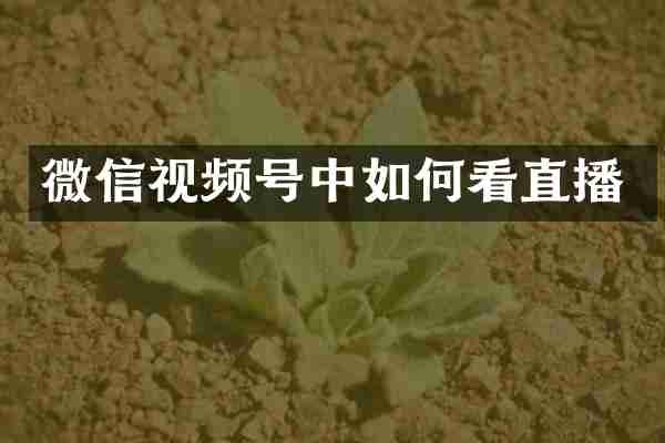 微信视频号中如何看直播