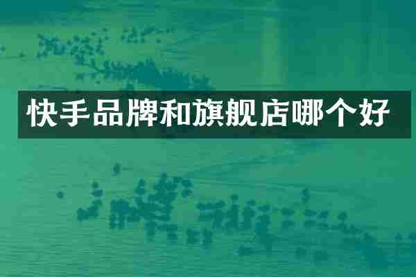 快手品牌和旗舰店哪个好