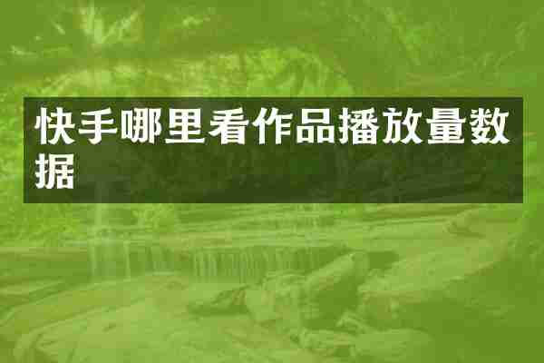 快手哪里看作品播放量数据