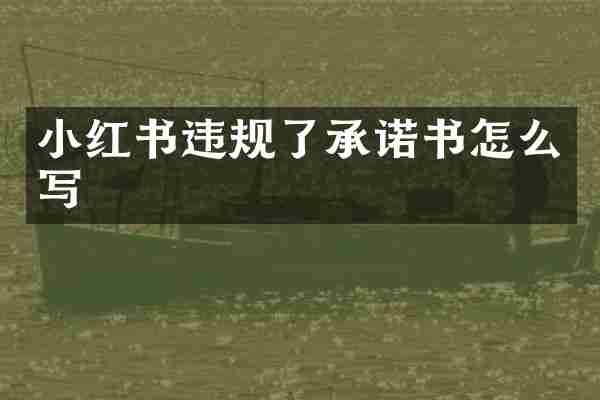 小红书违规了承诺书怎么写