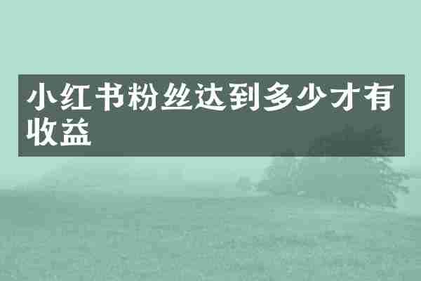 小红书粉丝达到多少才有收益