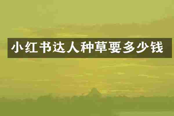 小红书达人种草要多少钱