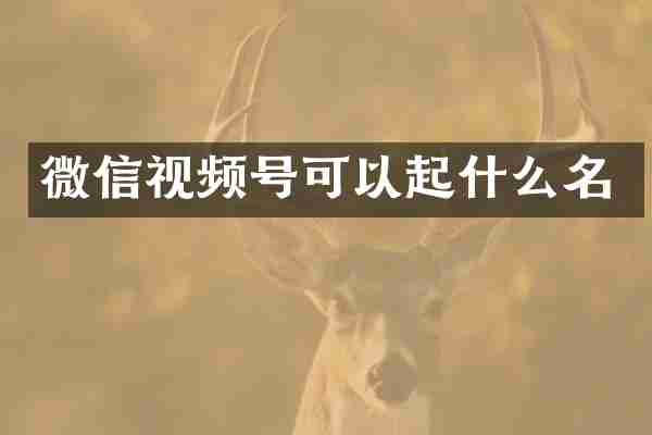 微信视频号可以起什么名