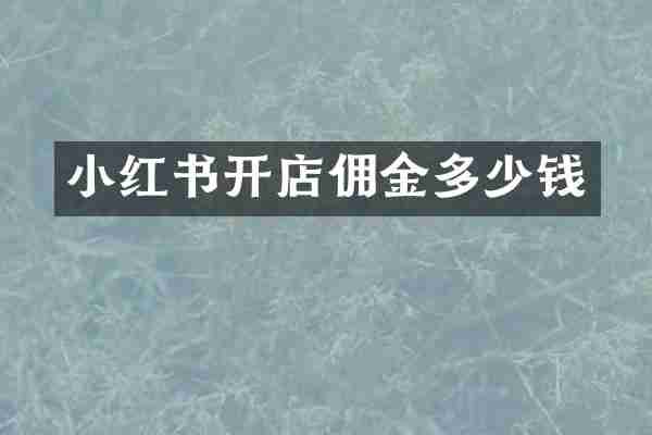 小红书开店佣金多少钱