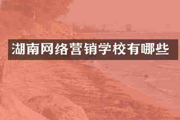湖南网络营销学校有哪些