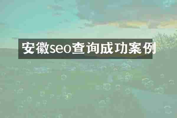 安徽seo查询成功案例
