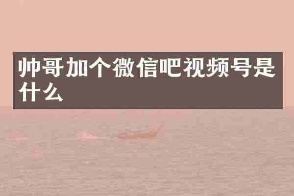 帅哥加个微信吧视频号是什么