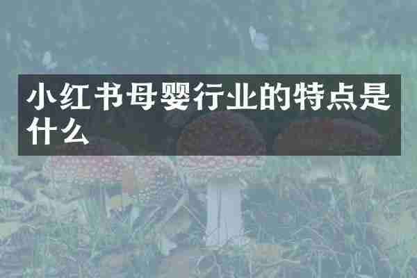 小红书母婴行业的特点是什么