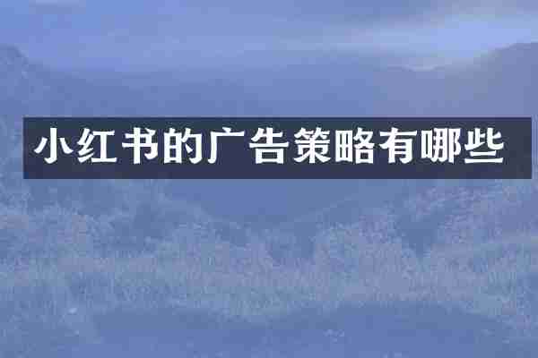 小红书的广告策略有哪些
