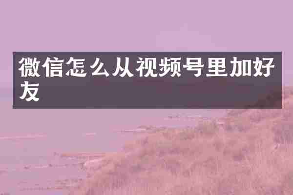 微信怎么从视频号里加好友