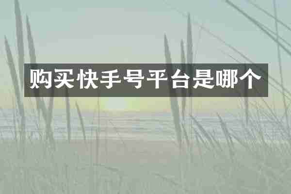 购买快手号平台是哪个