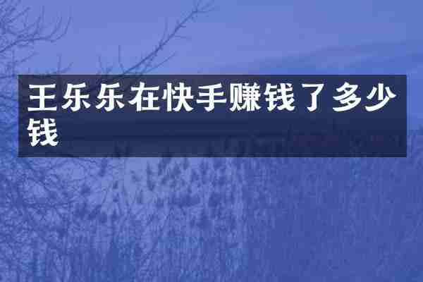 王乐乐在快手赚钱了多少钱