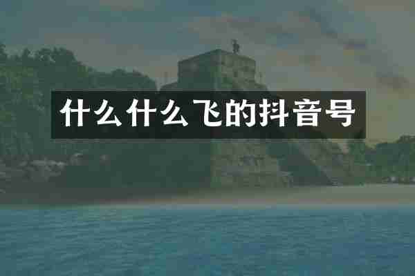 什么什么飞的抖音号