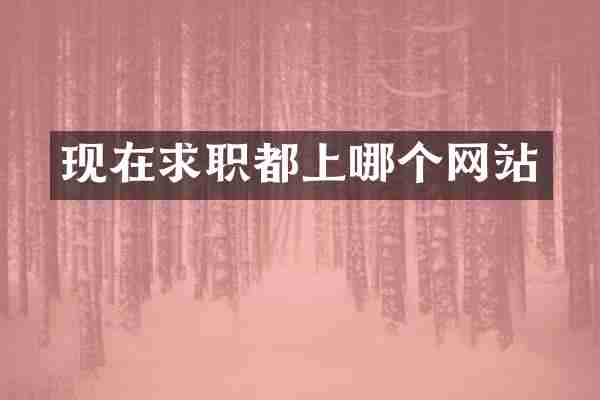 现在求职都上哪个网站
