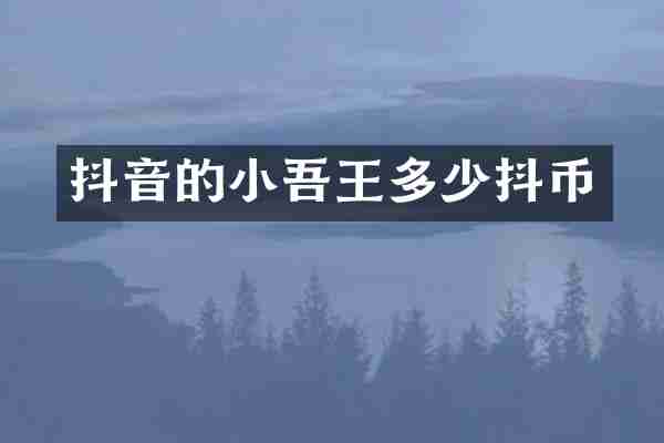 抖音的小吾王多少抖币