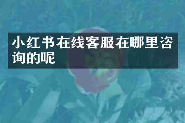 小红书在线客服在哪里咨询的呢