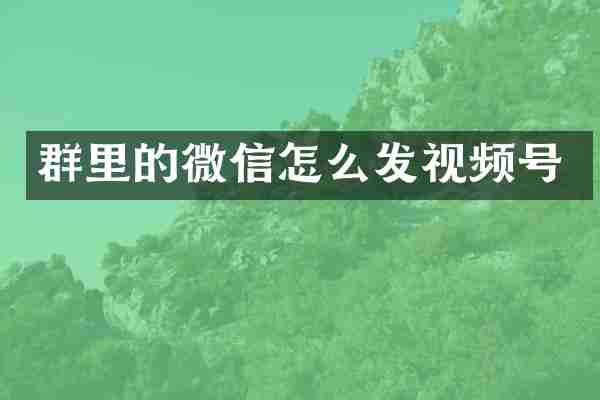 群里的微信怎么发视频号