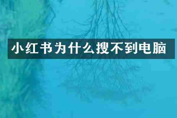 小红书为什么搜不到电脑