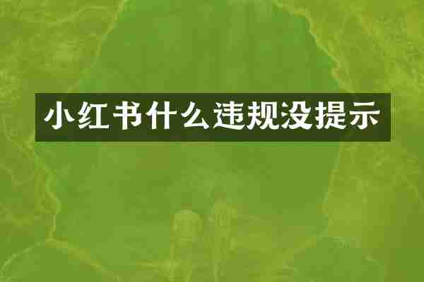 小红书什么违规没提示