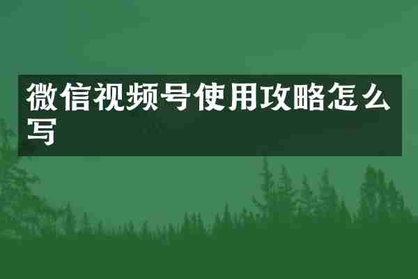 微信视频号使用攻略怎么写