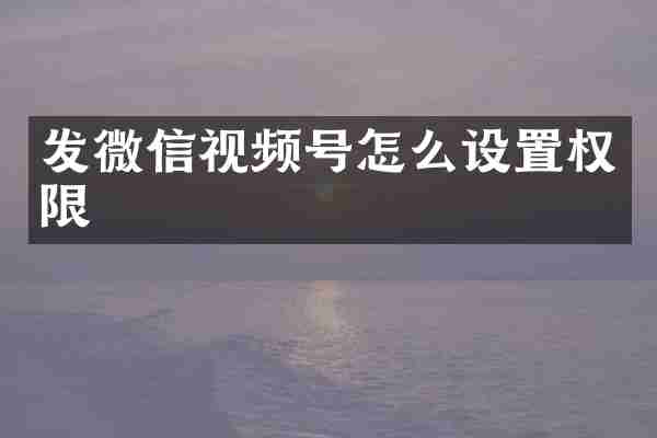 发微信视频号怎么设置权限