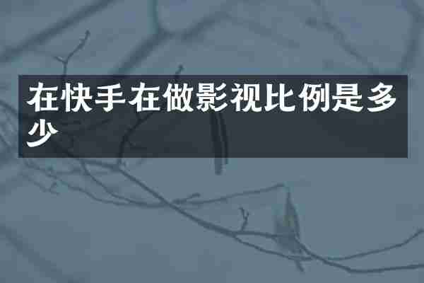 在快手在做影视比例是多少