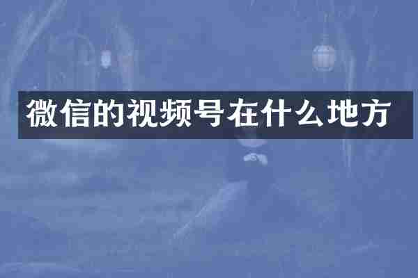 微信的视频号在什么地方