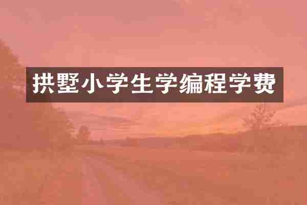 拱墅小学生学编程学费