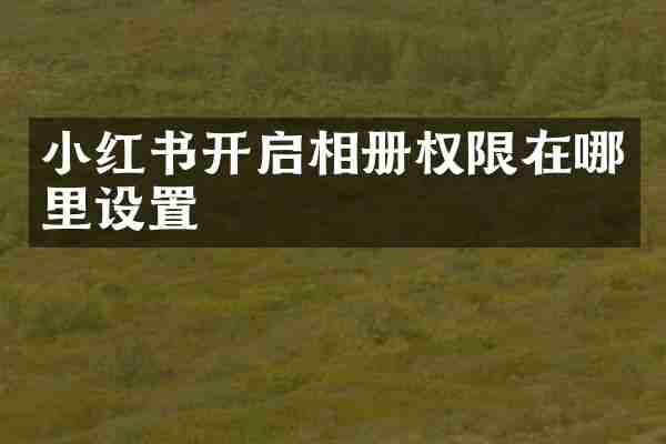 小红书开启相册权限在哪里设置