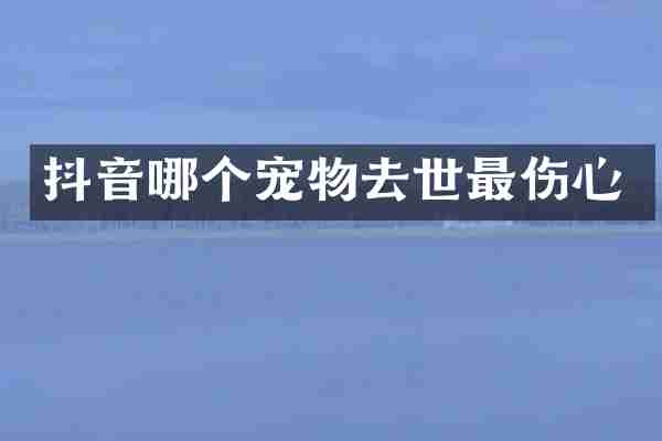 抖音哪个宠物去世最伤心