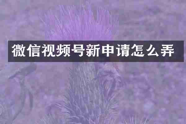 微信视频号新申请怎么弄