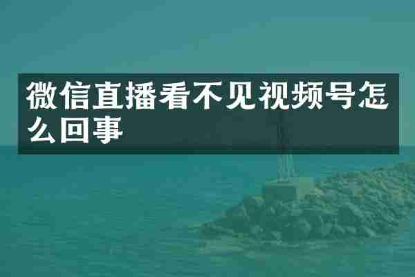微信直播看不见视频号怎么回事
